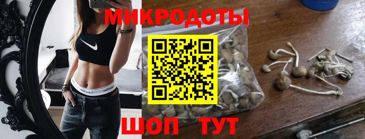 Бутурлиновка  купить  сайты  Вход с VPN  Галлюциногенные грибы мицелий 